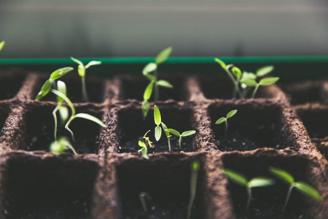 How to Create the Perfect Soil | Garrett Wade |Soil Recipe