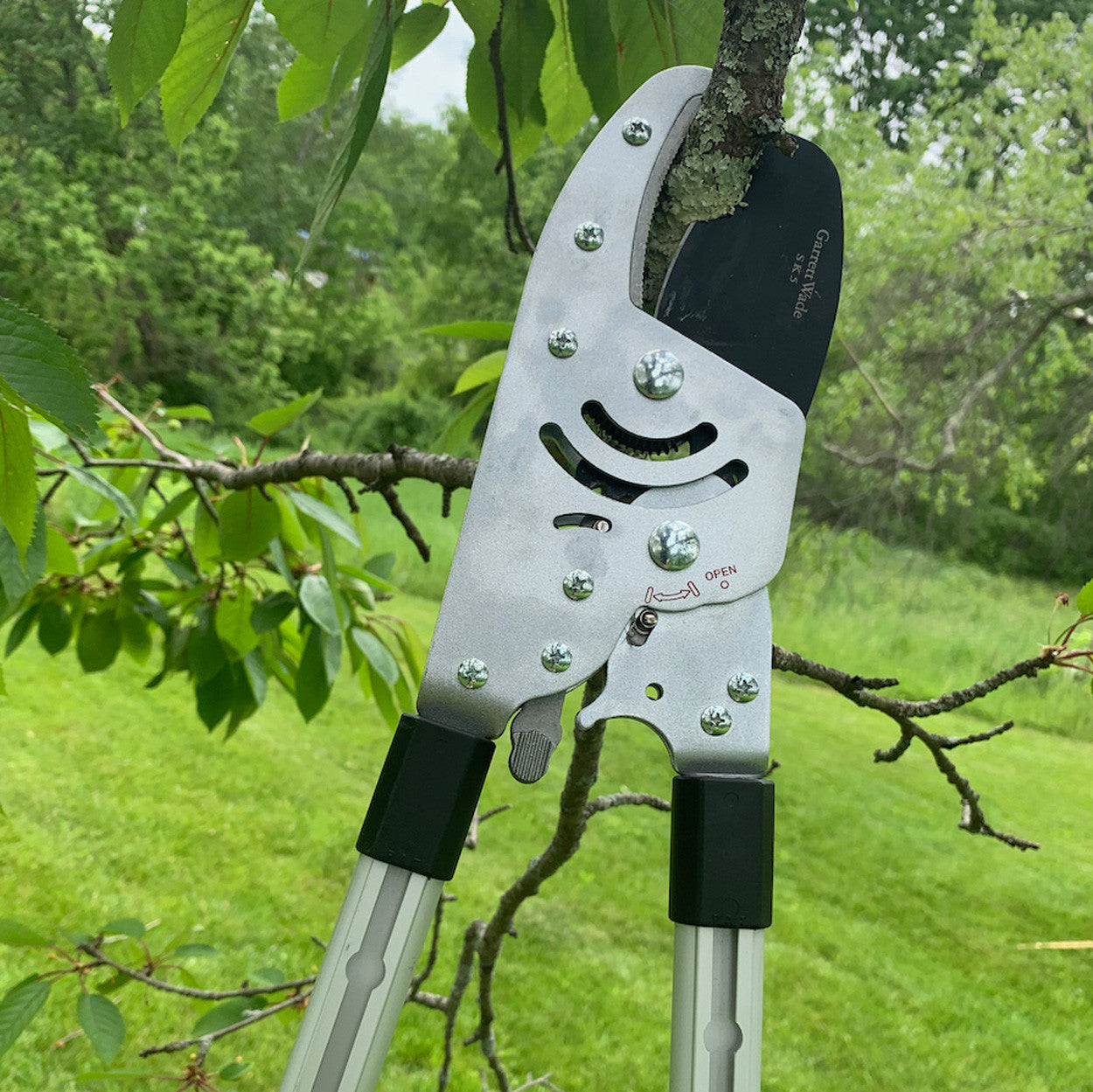 Heavy Duty Anvil Lopper