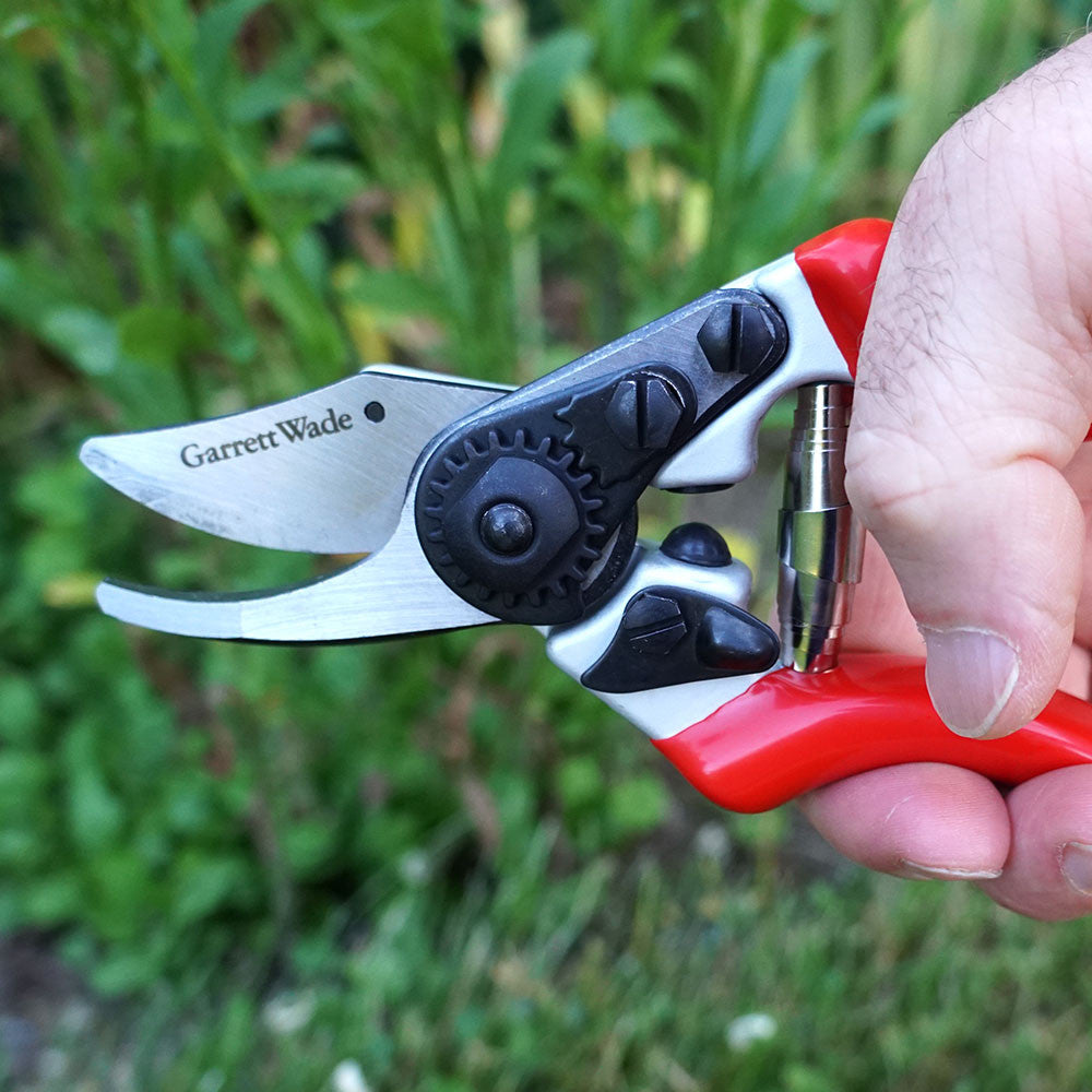 Everyday Go-To Pruners