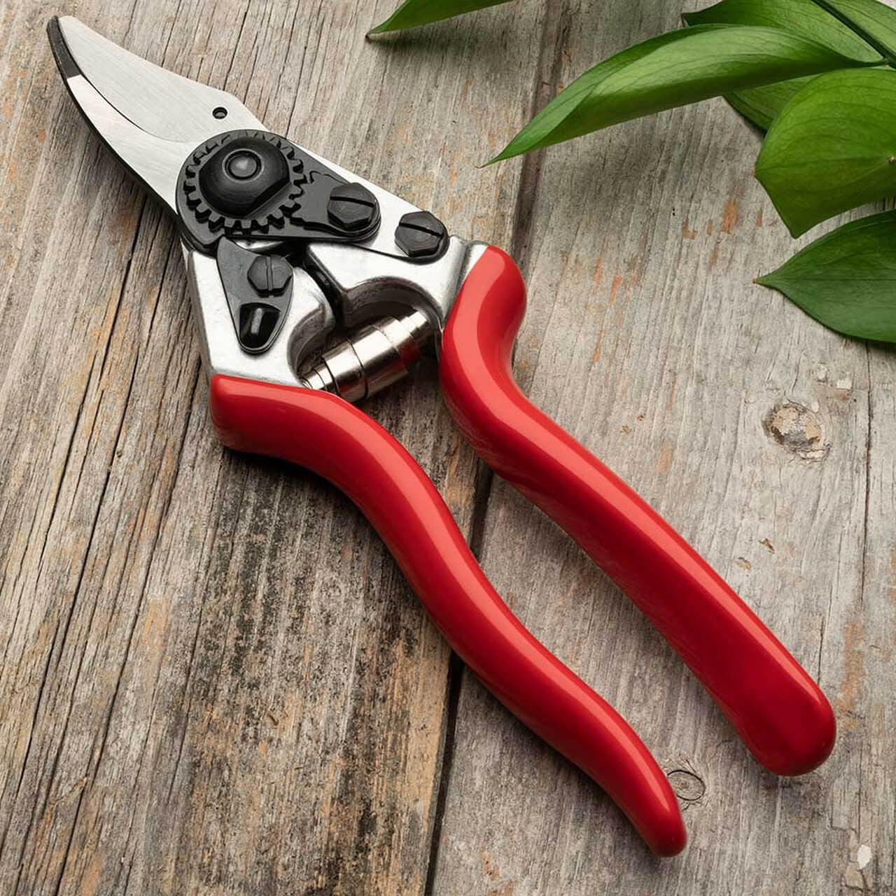 Everyday Go-To Pruners