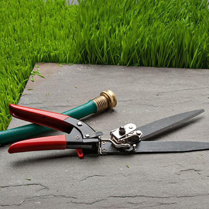 Grass Trimming Shears