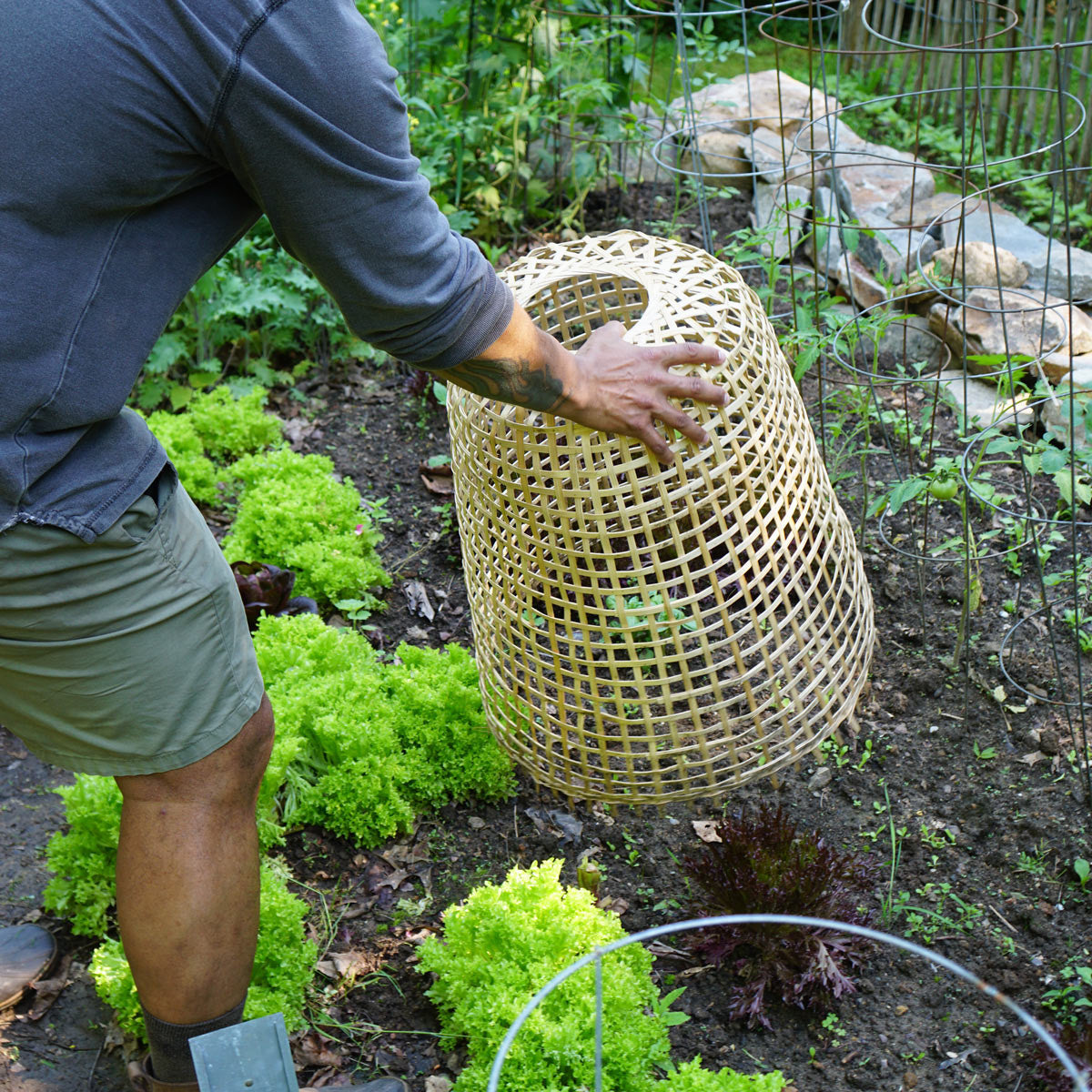 Woven Bamboo Garden Cloche