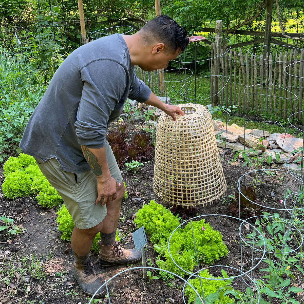 Woven Bamboo Garden Cloche