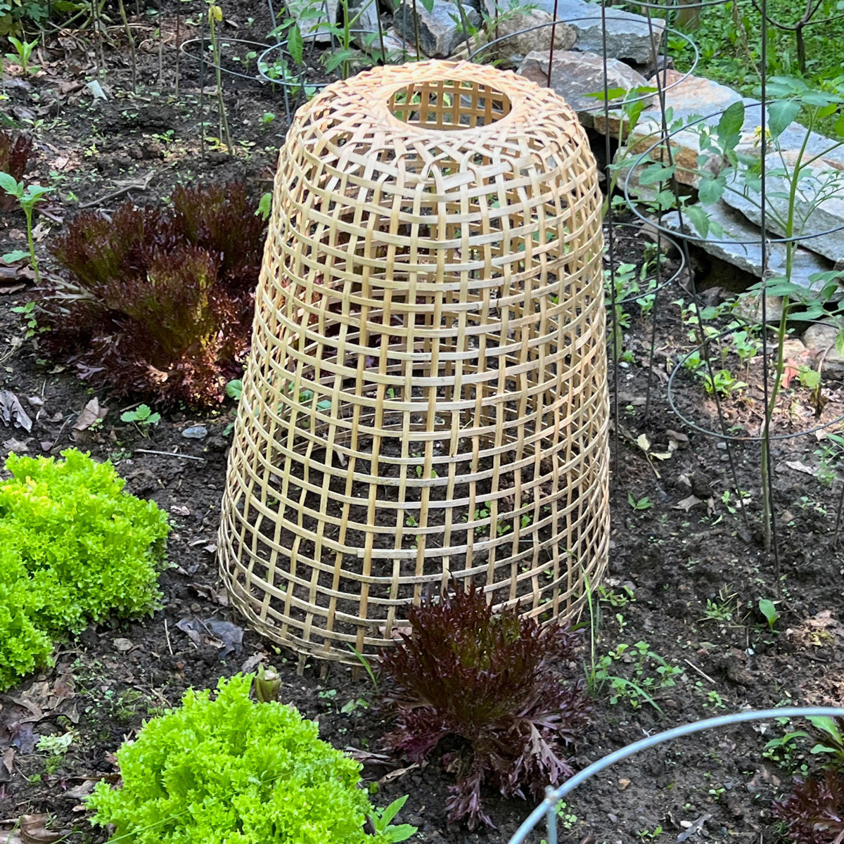 Woven Bamboo Garden Cloche