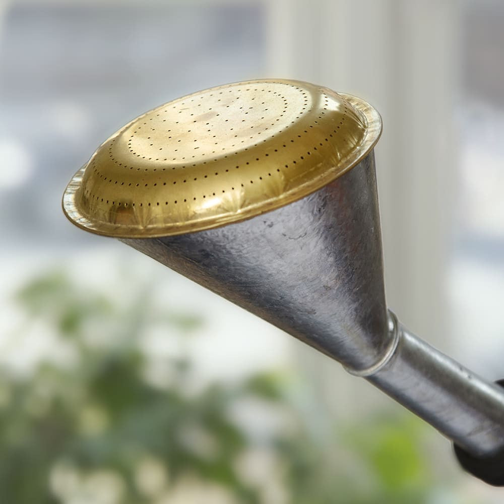 2-Gallon Oval Watering Can With Brass Rose