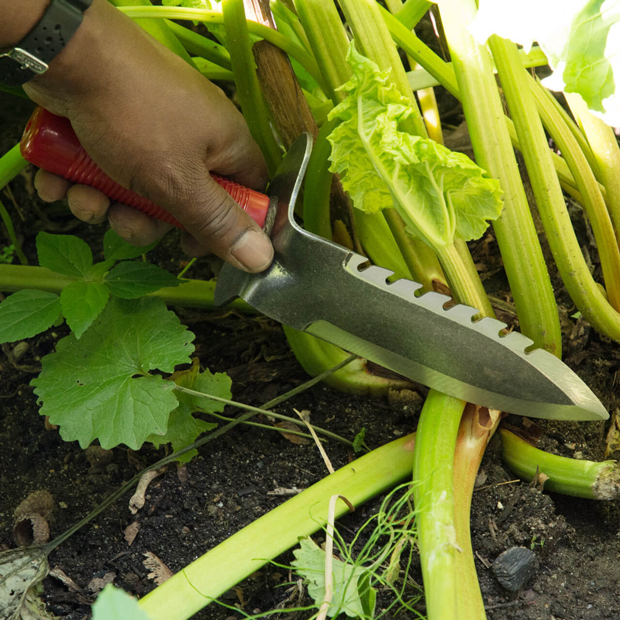 Professional Gardener's Digging Tool