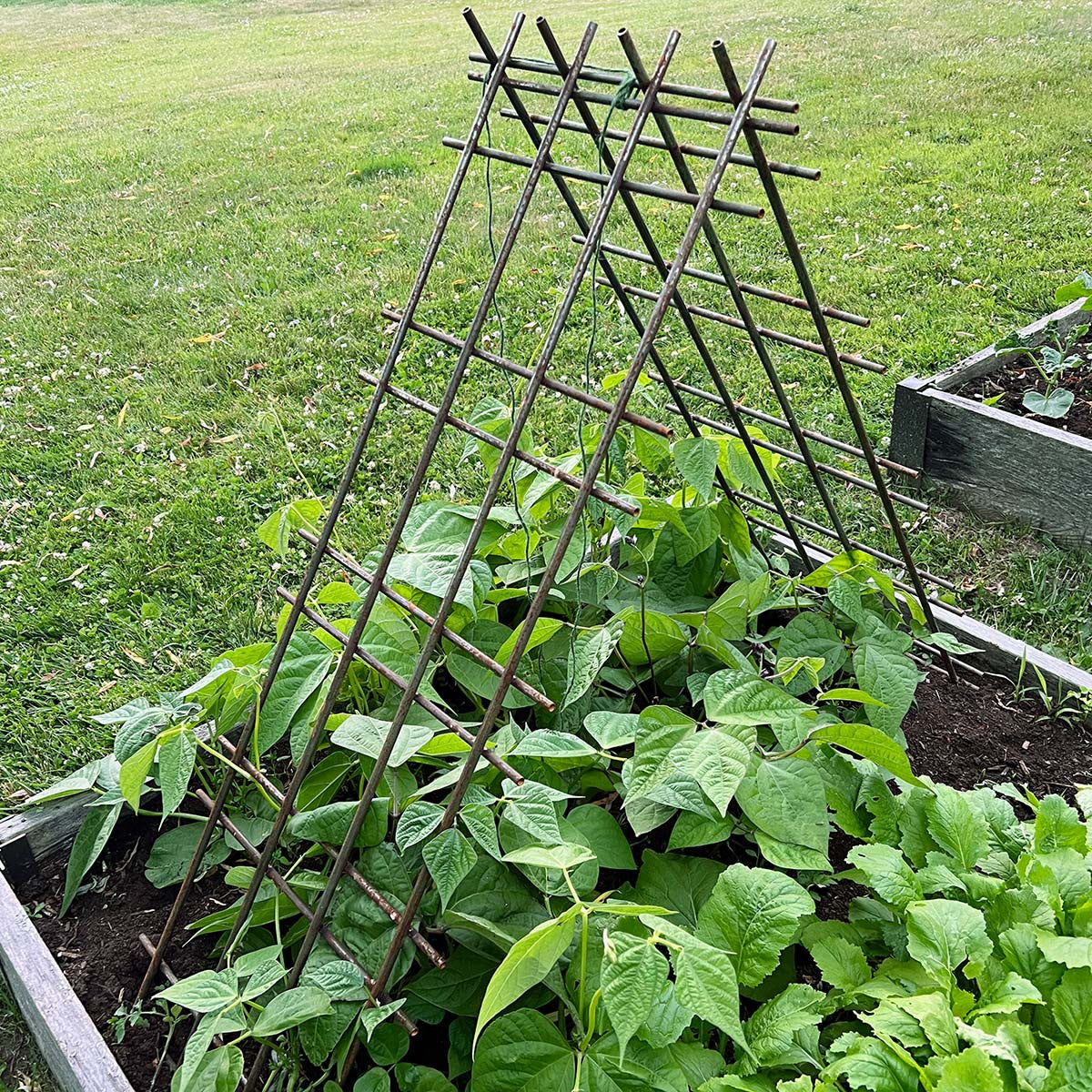 Interlocking Steel Garden Trellis