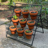 Terracotta Planter Stand Including 9 Pots