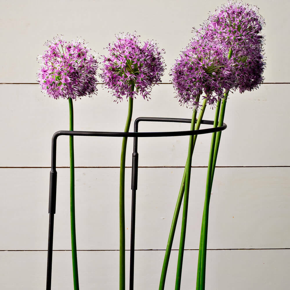 Garden Support Medium