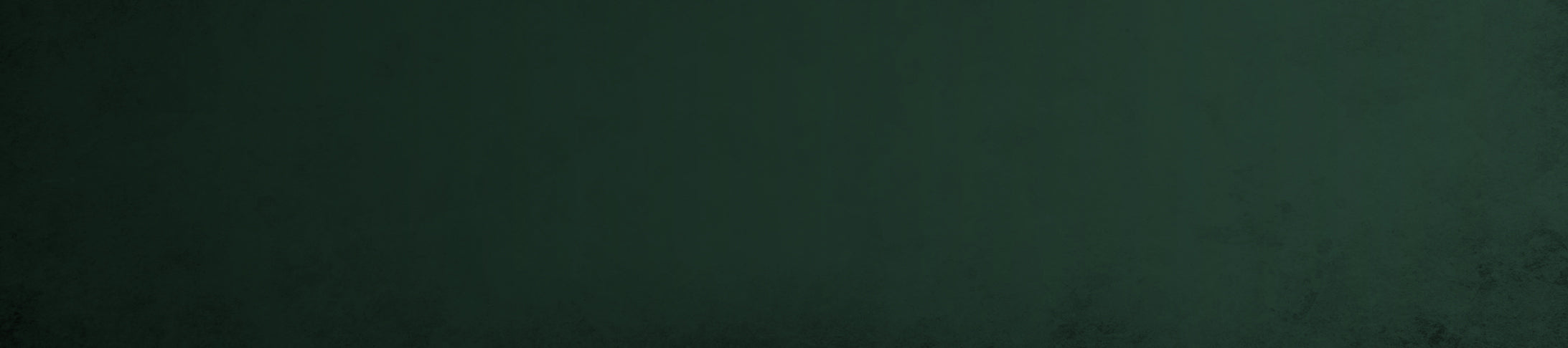 Sale Items Under $100