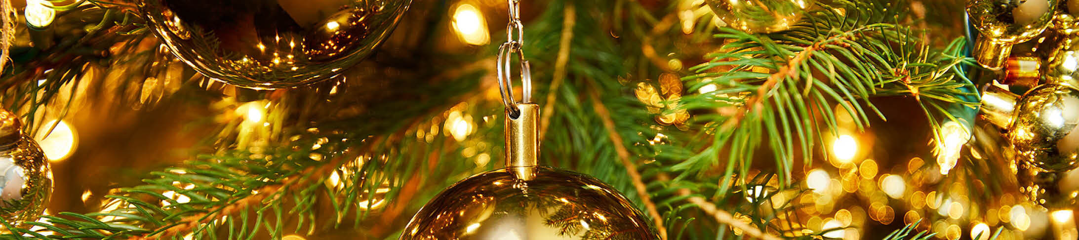 Holiday Decor