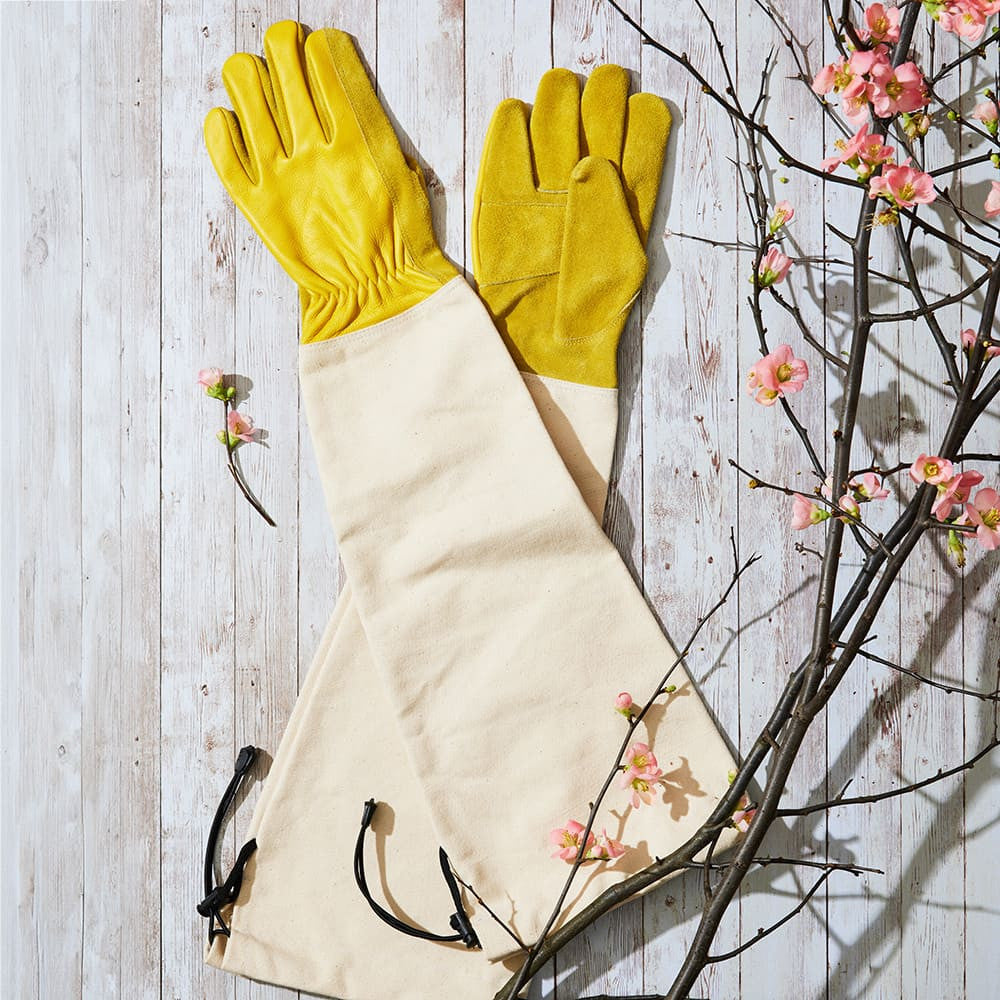 Heavy-Duty Bramble Gloves With Integrated Arm Guards - Medium