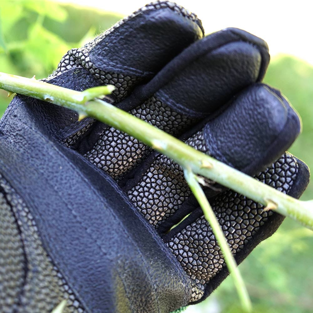 Blue Safety HD Work Gloves (x-large)