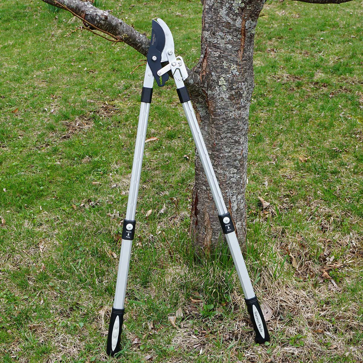 Extendable ratcheting lopper