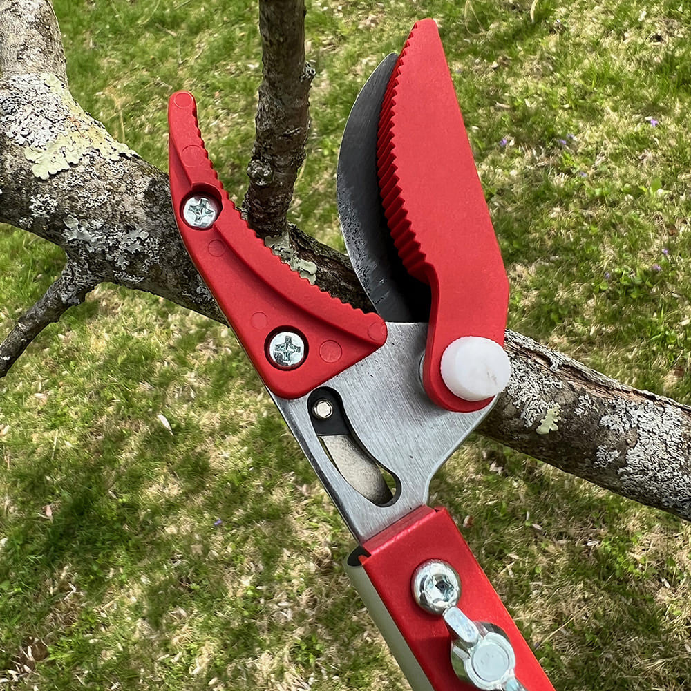 Long Reach Pruner (Extends to 1.5 meters)