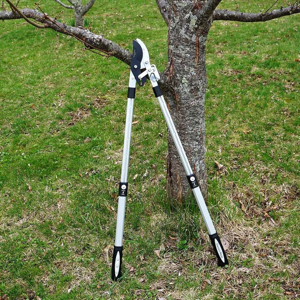 Premium Ratcheting Pruning Loppers