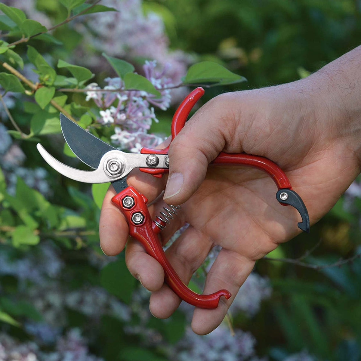 Everyday Garden Set