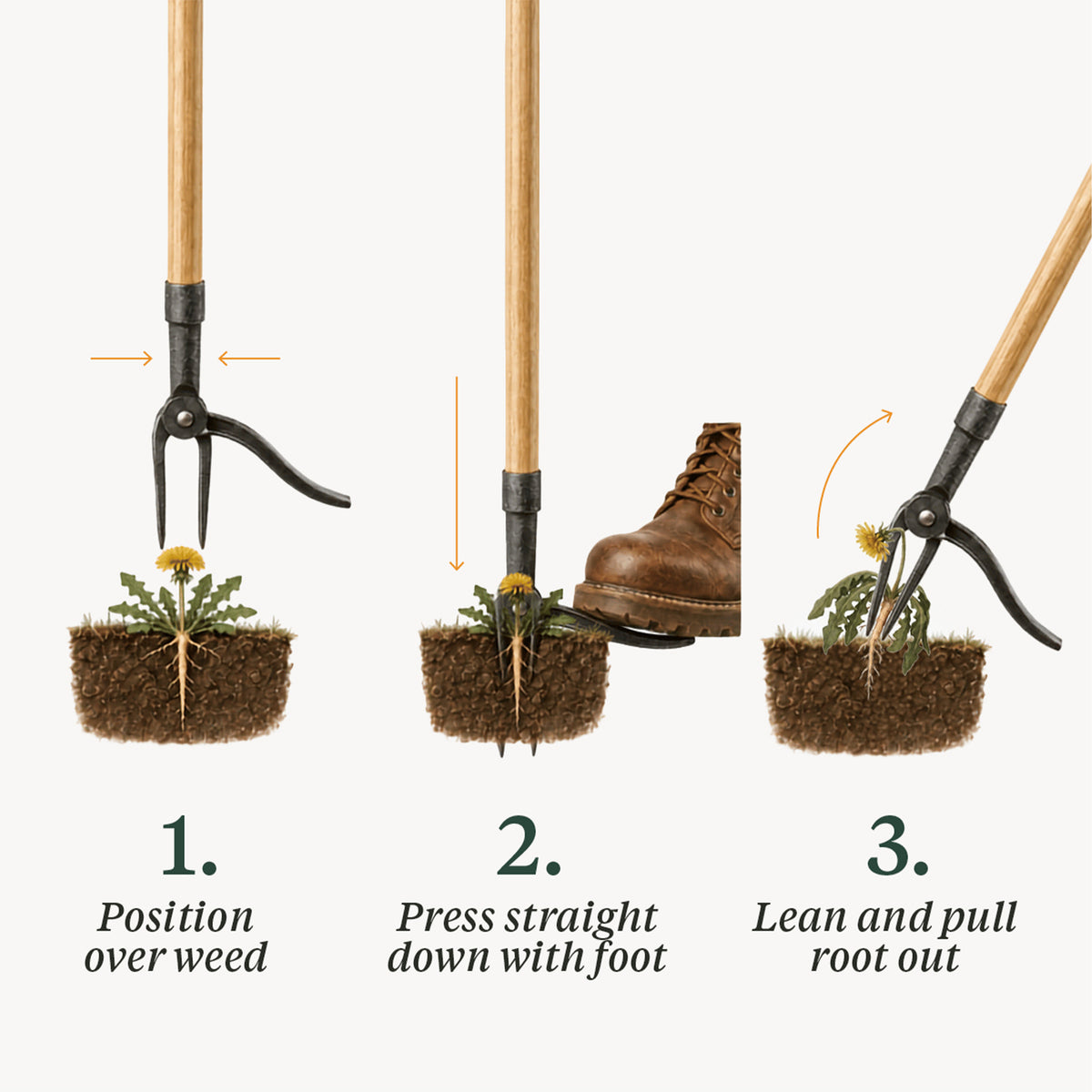 Garry's Back Saving Weeder