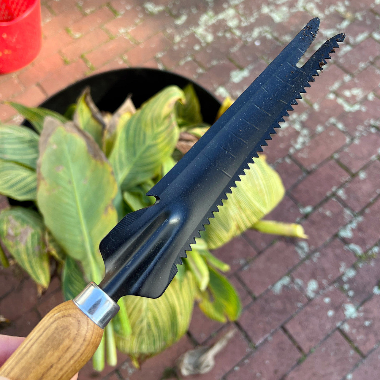 Weeder fork and trowel