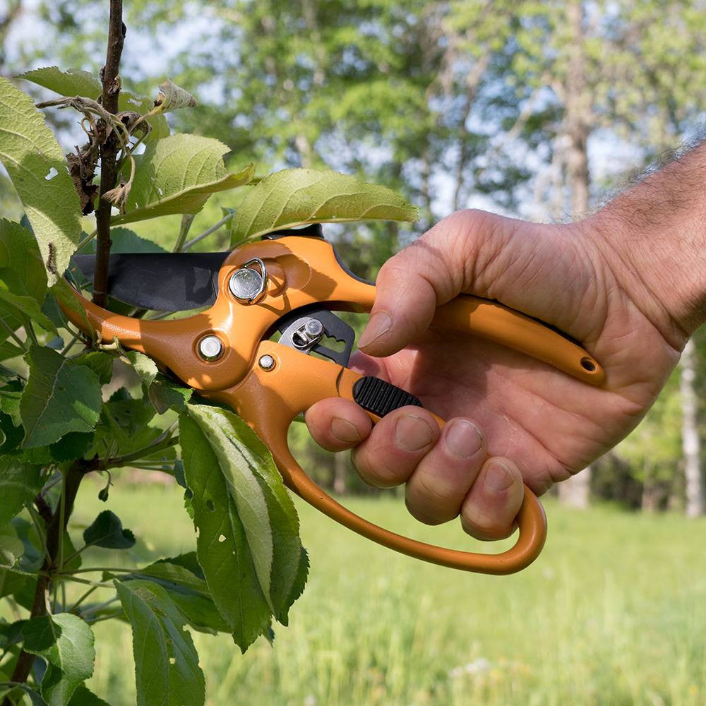 Ratcheting Hand Pruner by Garrett Wade