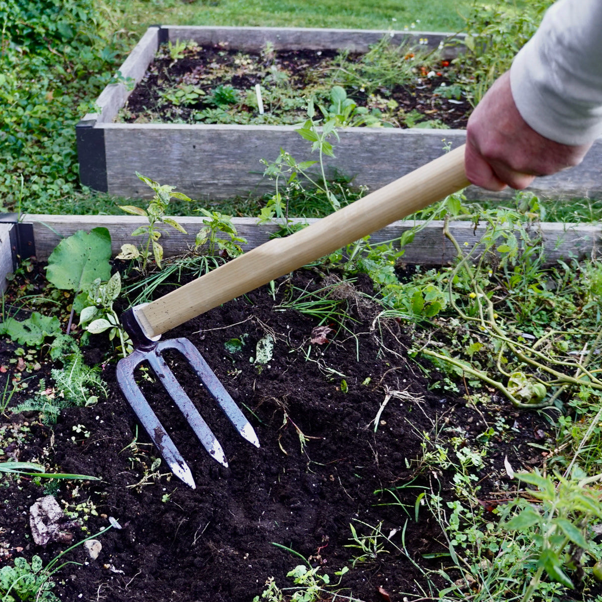 3-Tine German Made Cultivator