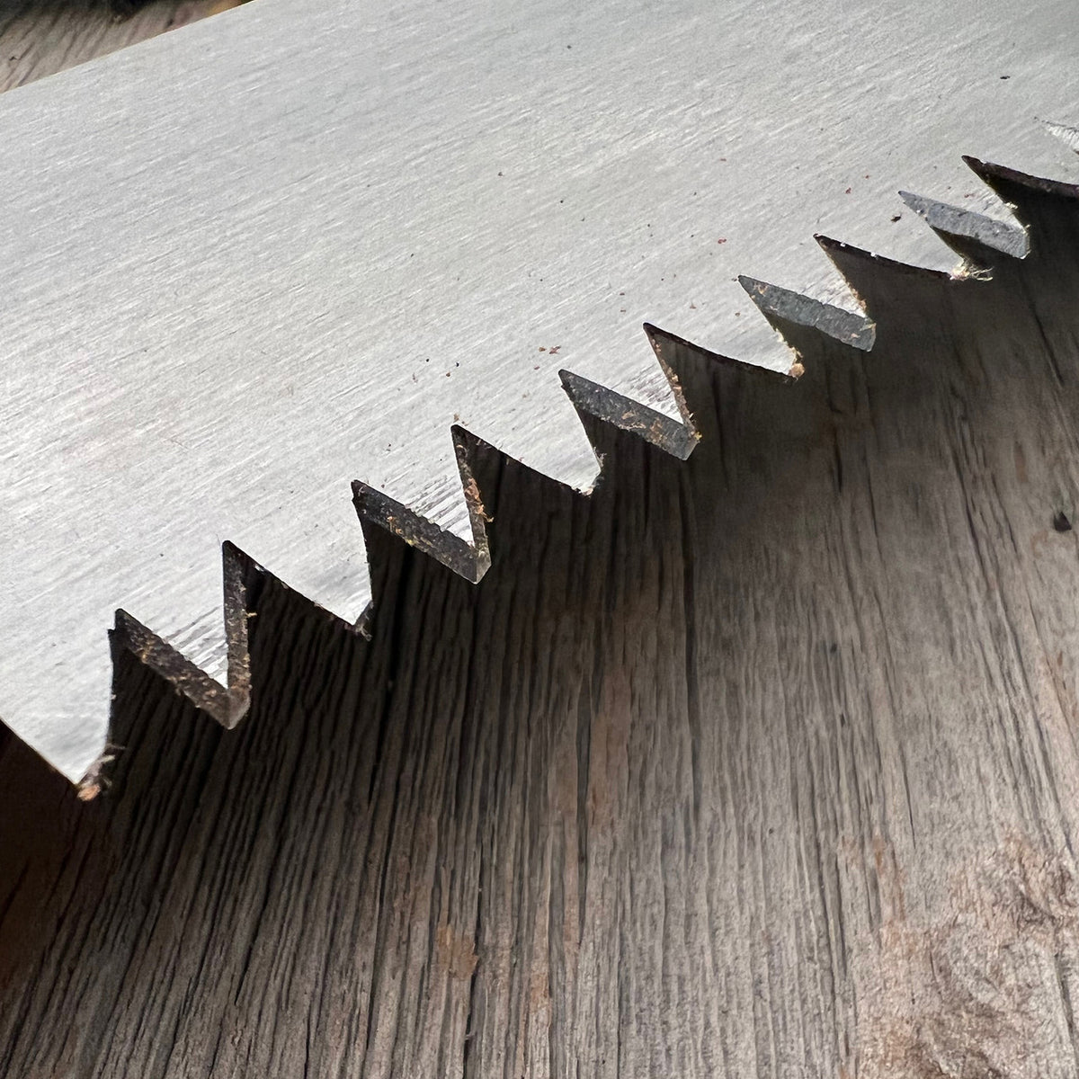 Japanese Log saw teeth