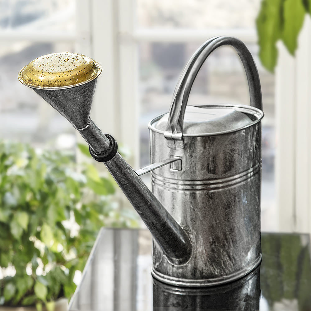 2-Gallon Oval Watering Can With Brass Rose