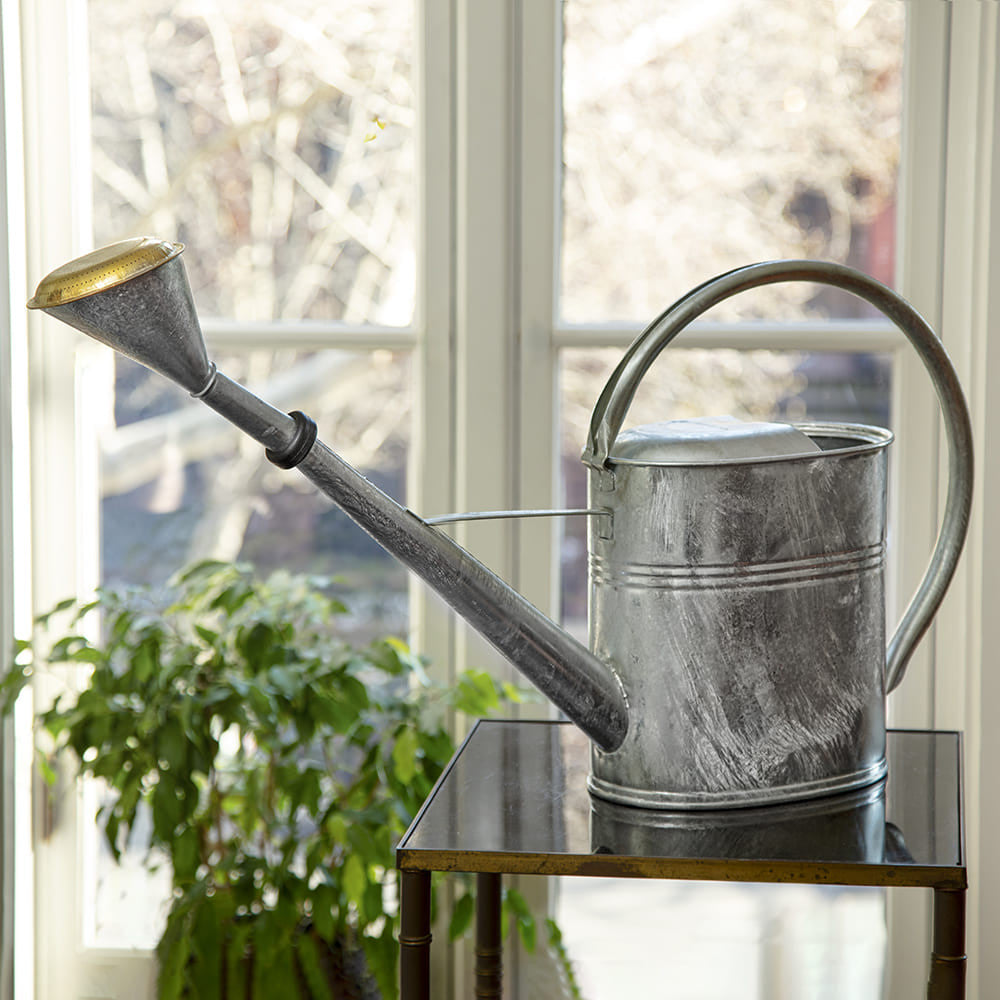 2-Gallon Oval Watering Can With Brass Rose