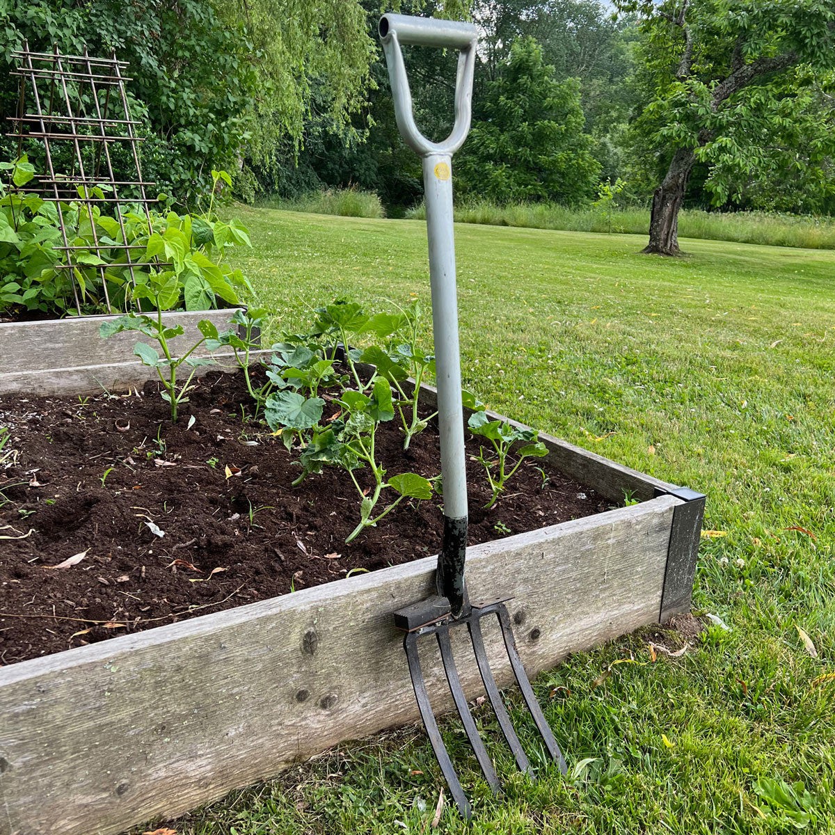 Four-Tine Digging Fork
