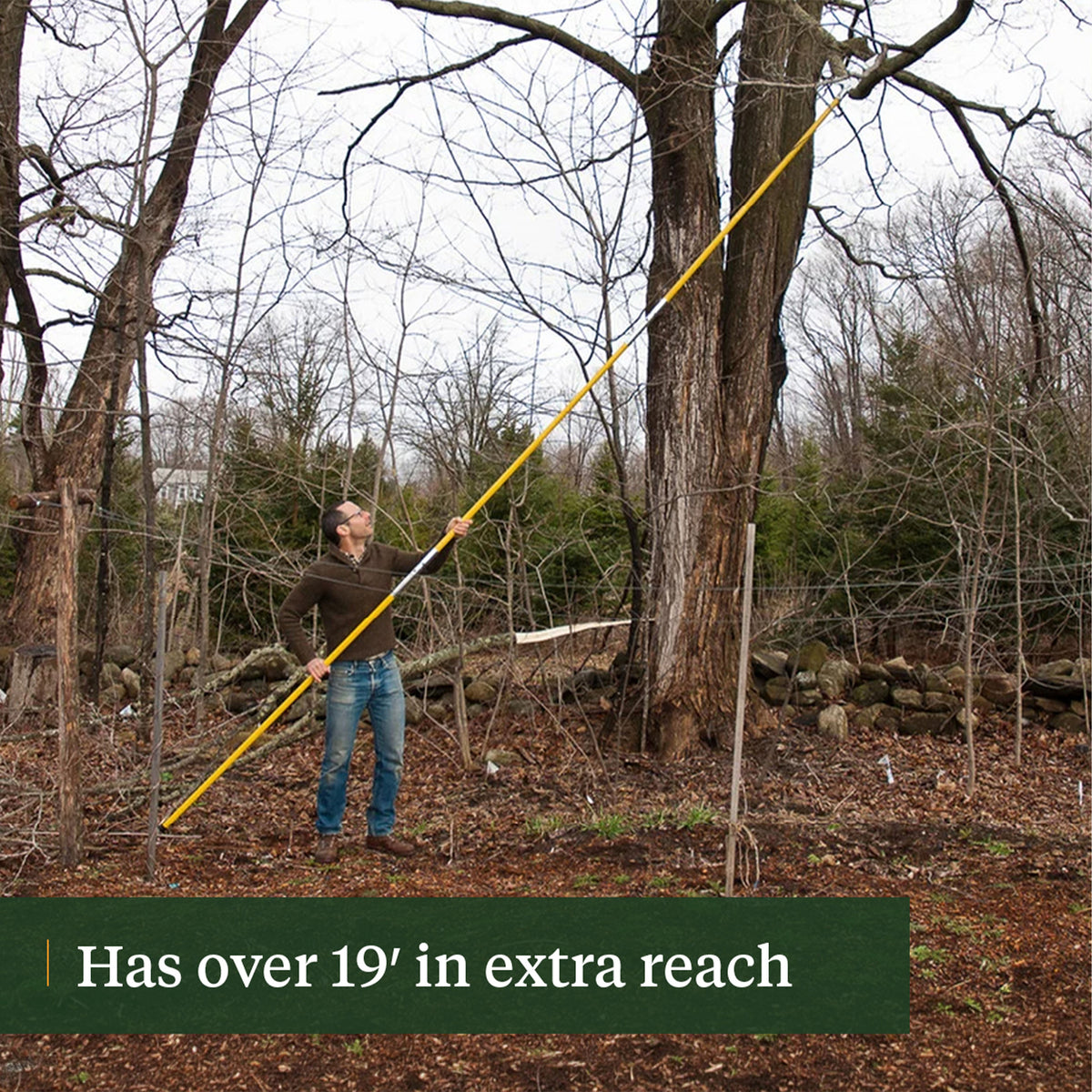 Hi-Reach 19 ft Pole Saws