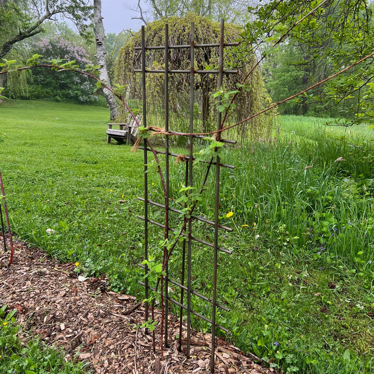 Interlocking Steel Garden Trellis
