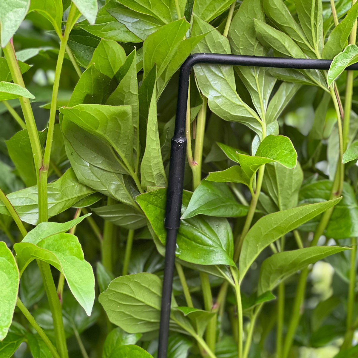 Half-Circle Steel Garden Support