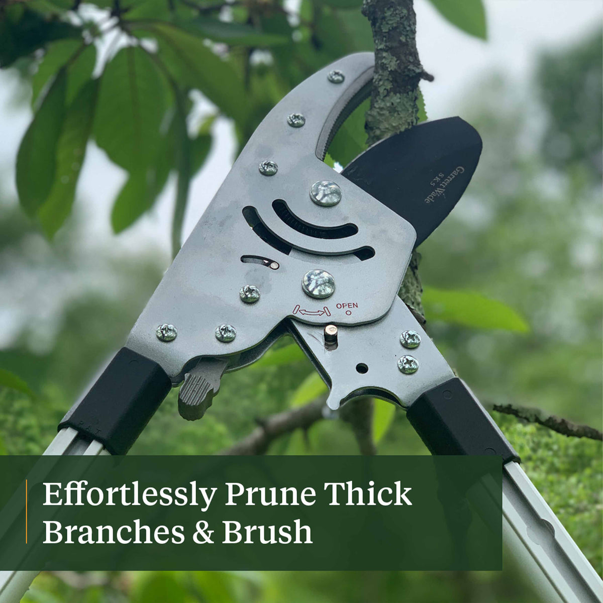 Ultimate Pruning Set
