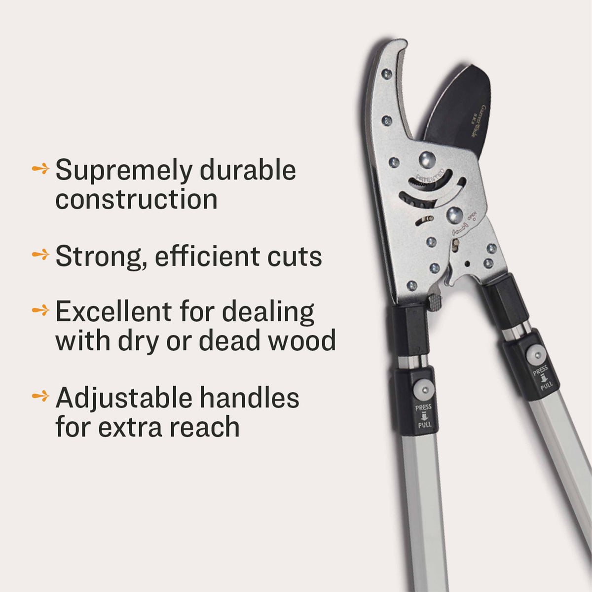 Ultimate Pruning Set