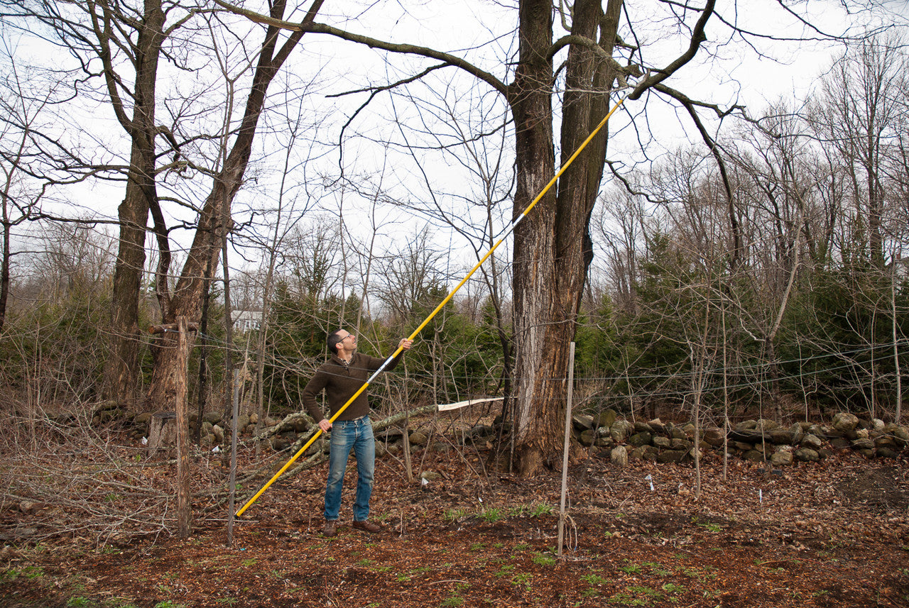 Hi-Reach 19 ft Pole Saws