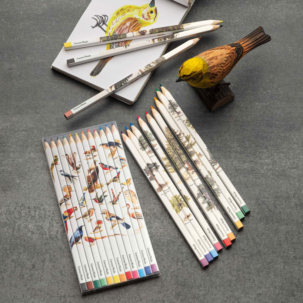 French Made Set of 12 Color Puzzle Pencils