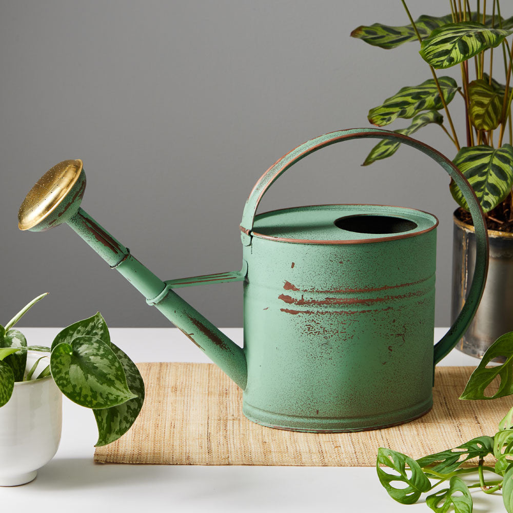 Antiqued Copper Plated Watering Can