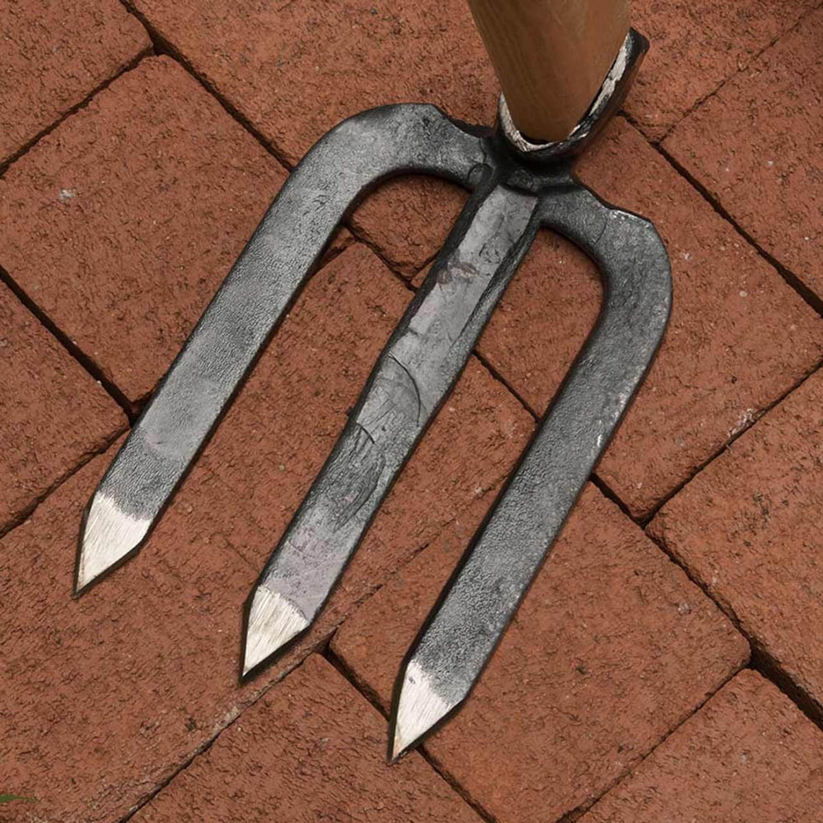 3-Tine Cultivator